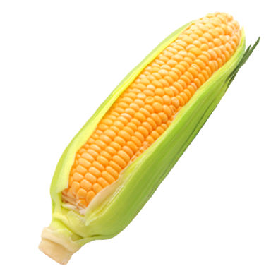 とうもろこし
