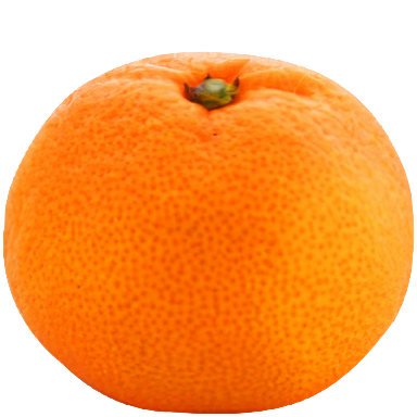 みかん