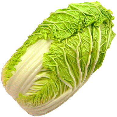白菜